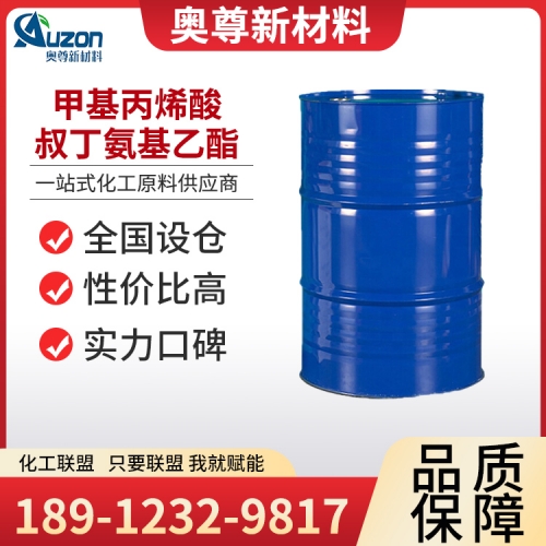 甲基丙烯酸叔丁氨基乙酯